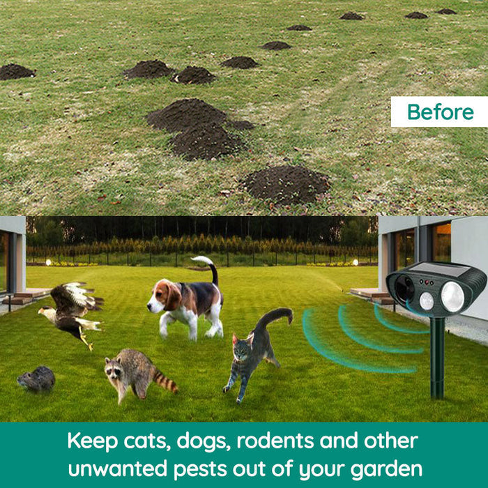 Raccoon Outdoor Ultrasonic Repeller - Solar-powered Ultrasonic Animal and Pest Control - Get rid of raccoons within 48 hours