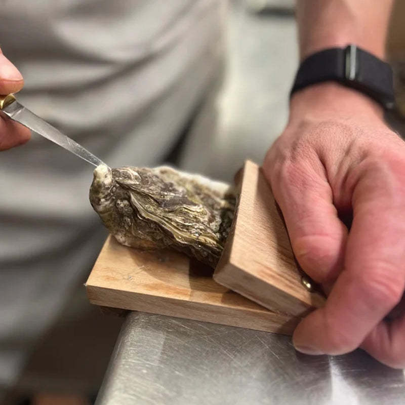 Premium wood handle oyster shell opener clamp