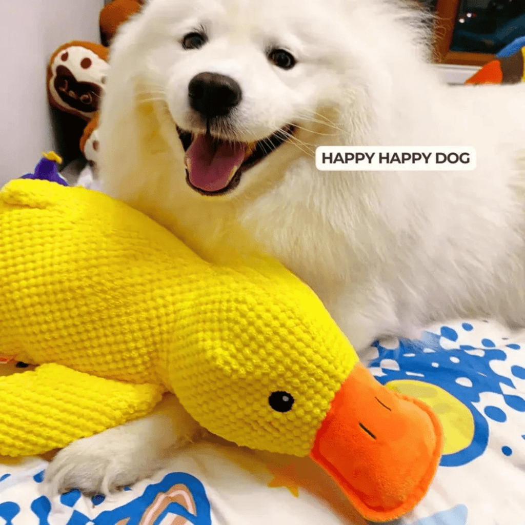 CuddleQuack Plyschleksak för hundar hållbar mjuk kvackande anka komfort