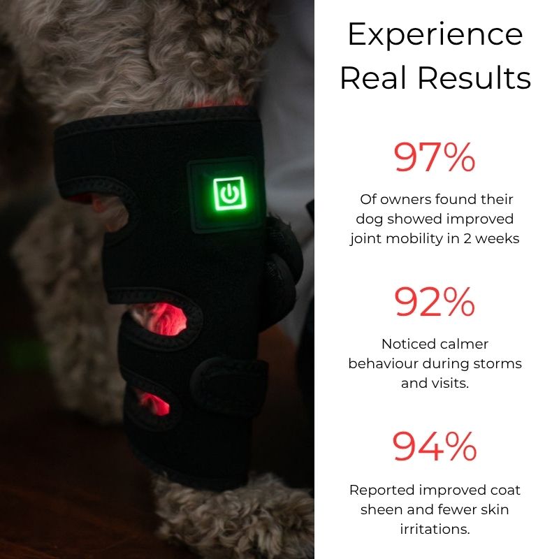 Red Light Duo Daily Leg Wrap Dogs Home Comfort At Home