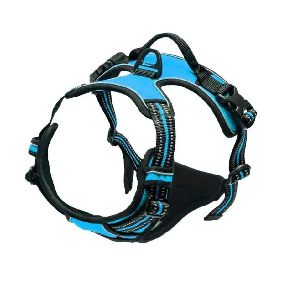 PawsLux Leather Collar, Harness and Leash Set for Dogs