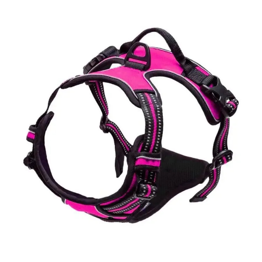PawsLux Leather Collar, Harness and Leash Set for Dogs