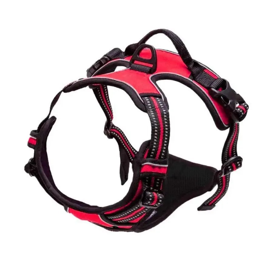 PawsLux Leather Collar, Harness and Leash Set for Dogs