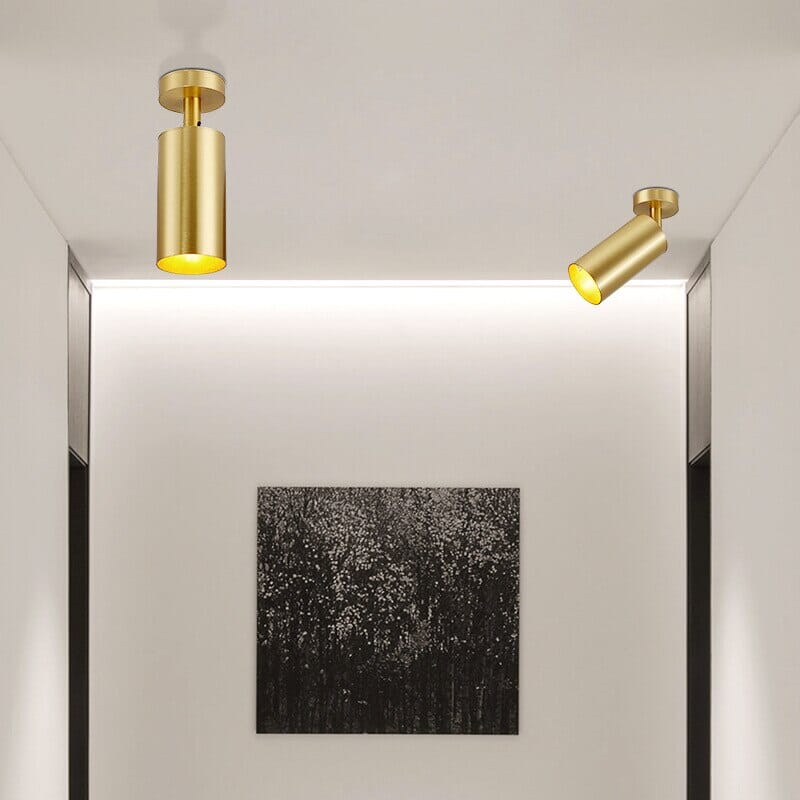 Asteria draaibare moderne LED-spotkoppen voor flexibele verlichting