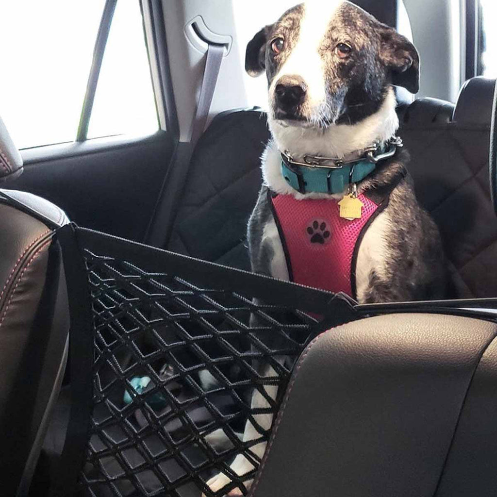 Rete di Sicurezza Elastico Doppia TrailGuard per Auto per Animali Domestici, Mantienili Sicuri in Movimento
