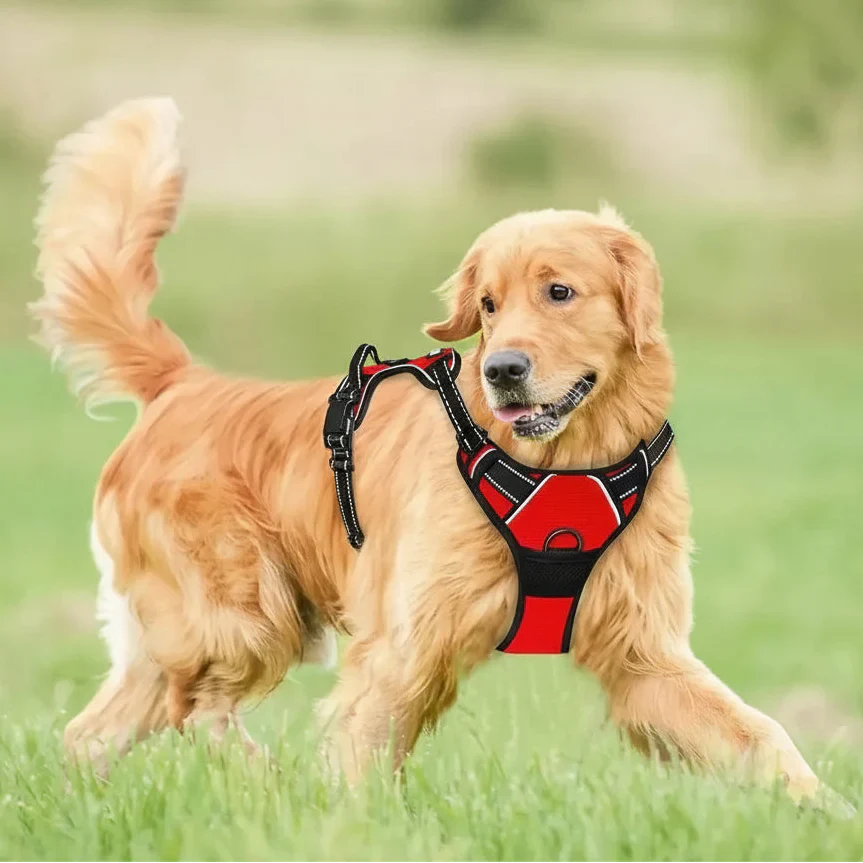 PawsLux Leather Collar, Harness and Leash Set for Dogs