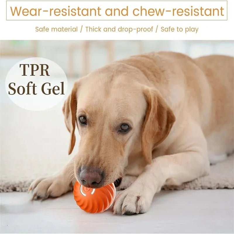 כדור כלבים אינטראקטיבי נטען ActivePulse לכלבים פעילים עם תנועה אוטומטית