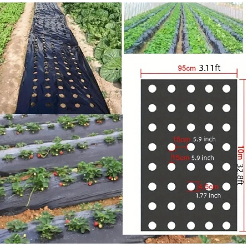 AgroShield ukrudtsdug og muldplast i sort til plantebeskyttelse i drivhuse