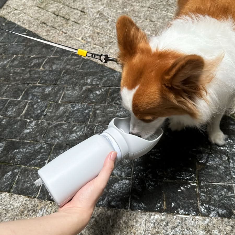 TrailMate Bottiglia d'Acqua Pieghevole per Animali con Capacità di 550 Ml