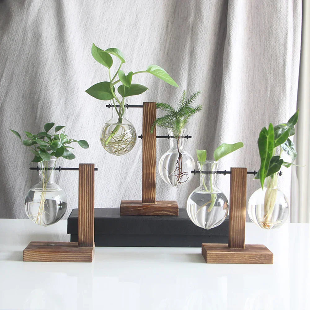 WoodenBloom Hydroponic Bulb Glass Planter On Wooden Stand For Home And Office Decor
