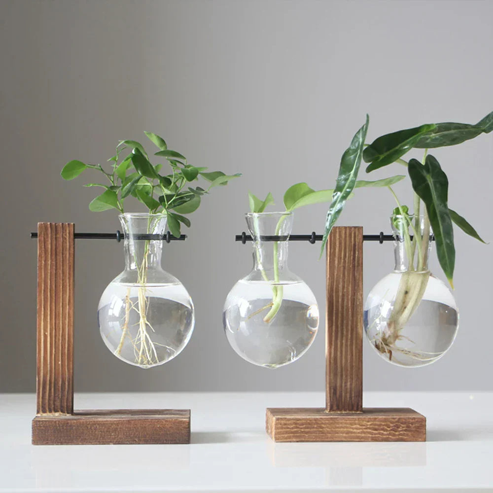WoodenBloom Hydroponic Bulb Glass Planter On Wooden Stand For Home And Office Decor