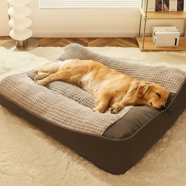 Cama para Perro Grande PawNest con Soporte Postural y Resistencia a Arañazos