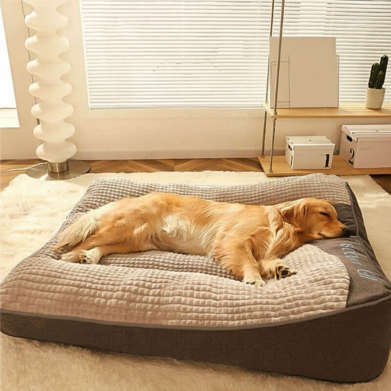Cama para Perro Grande PawNest con Soporte Postural y Resistencia a Arañazos