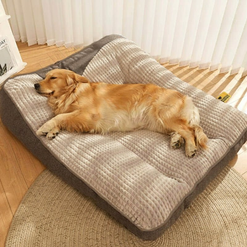 Cama para Perro Grande PawNest con Soporte Postural y Resistencia a Arañazos