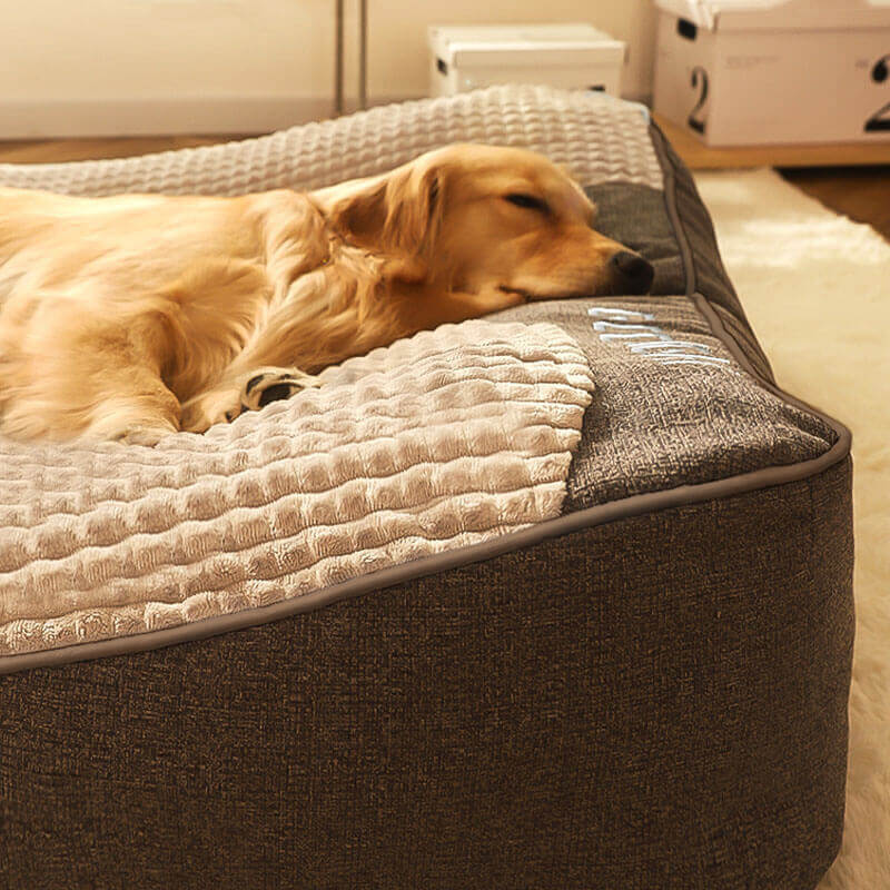 Cama para Perro Grande PawNest con Soporte Postural y Resistencia a Arañazos