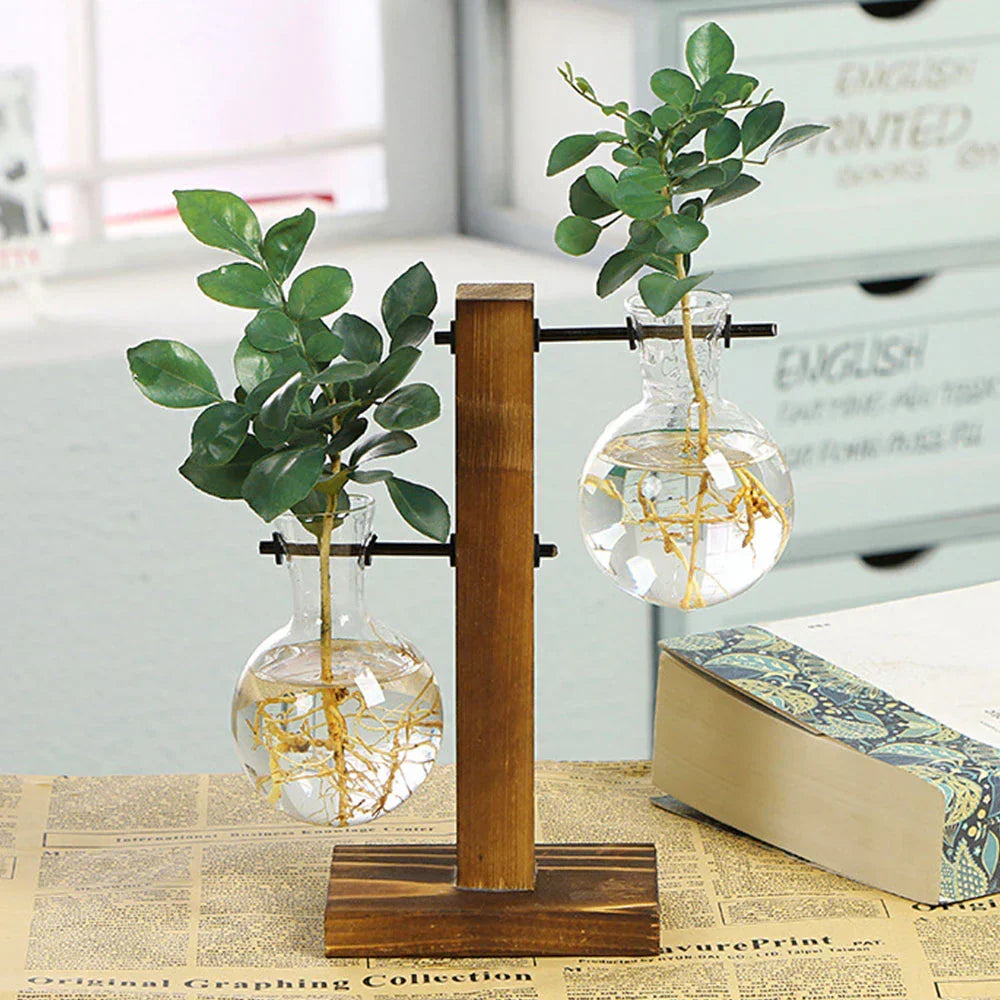 WoodenBloom Hydroponic Bulb Glass Planter On Wooden Stand For Home And Office Decor