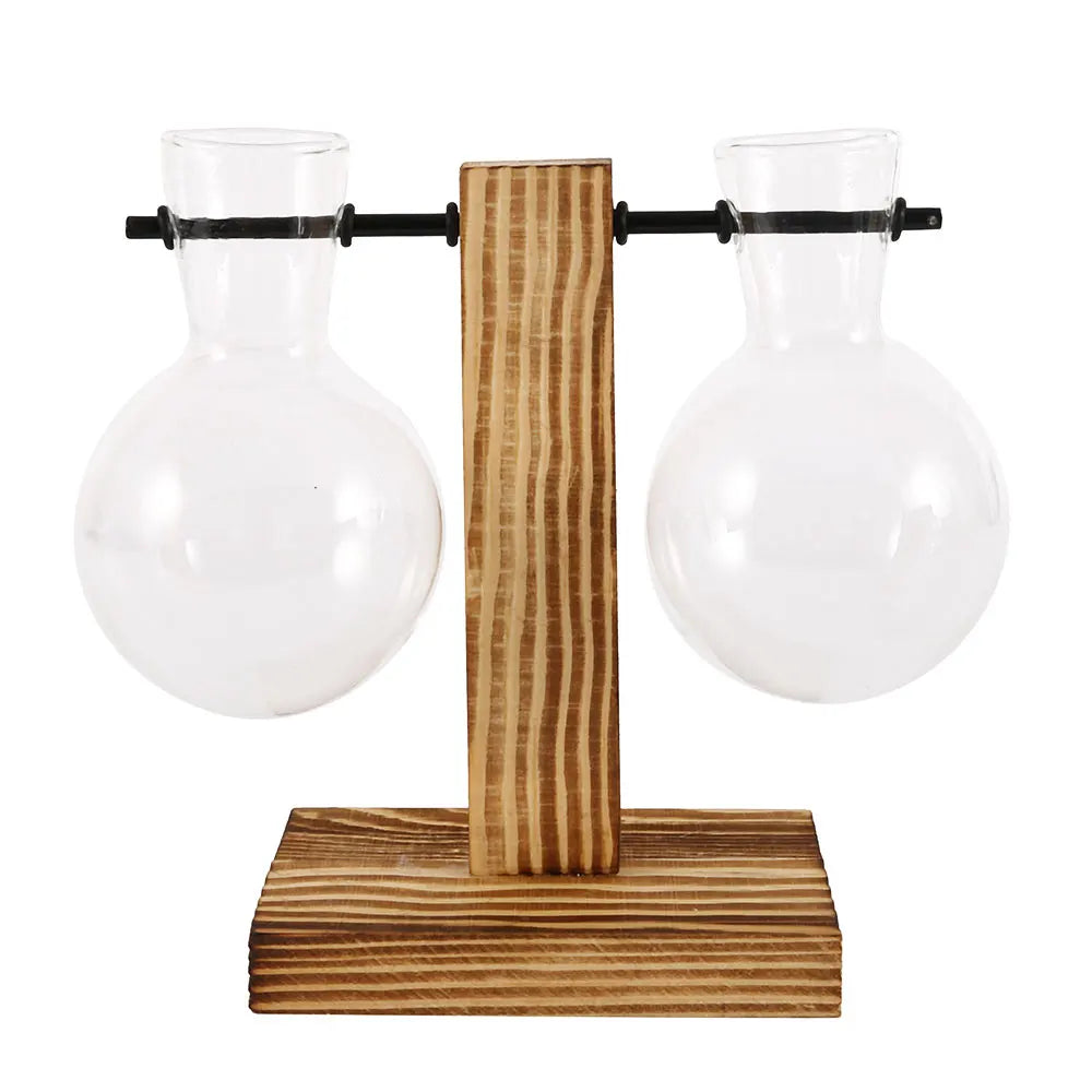 WoodenBloom Hydroponic Bulb Glass Planter On Wooden Stand For Home And Office Decor