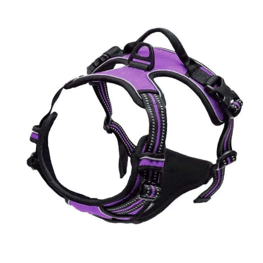 PawsLux Leather Collar, Harness and Leash Set for Dogs