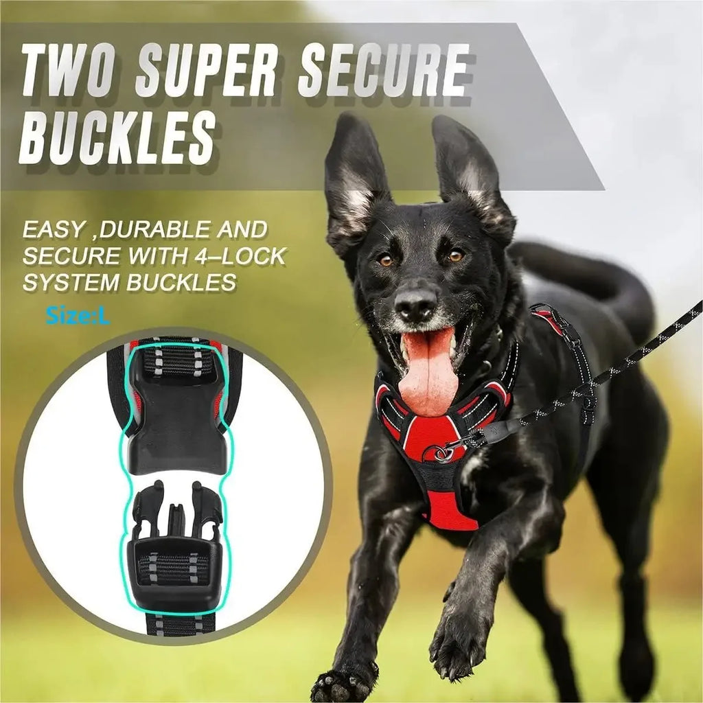 PawsLux Leather Collar, Harness and Leash Set for Dogs
