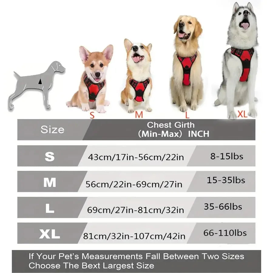 PawsLux Leather Collar, Harness and Leash Set for Dogs