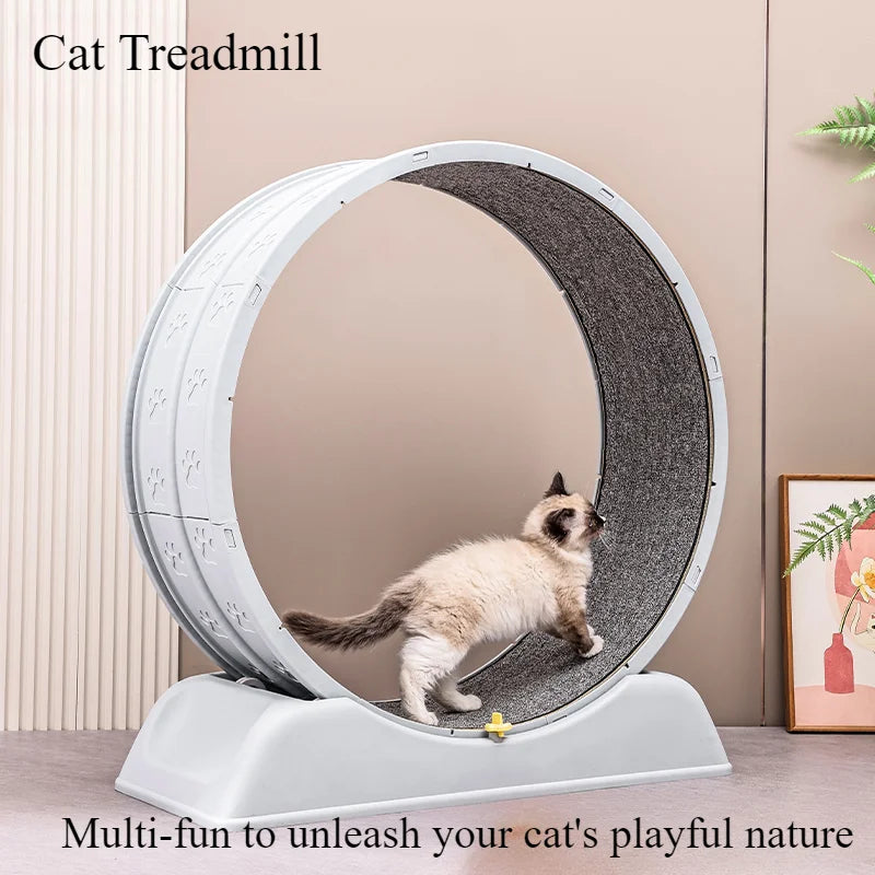 Ruota per gatti in legno silenziosa PurrTrack per esercizio con tappeto rimovibile