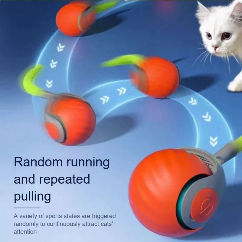 PawNova interaktivní hračky na kolečkách s USB nabíjením a umělým ocasem pro domácí mazlíčky