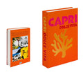 Decoration Books Enhance your living room with these cheerful decor - CozyBooks
