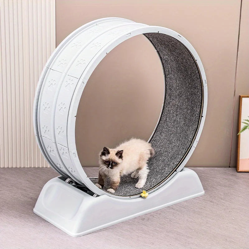 Ruota per gatti in legno silenziosa PurrTrack per esercizio con tappeto rimovibile