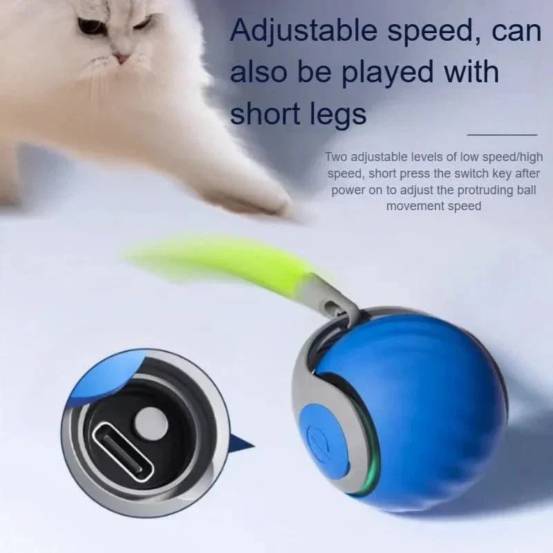 PawNova interaktivní hračky na kolečkách s USB nabíjením a umělým ocasem pro domácí mazlíčky