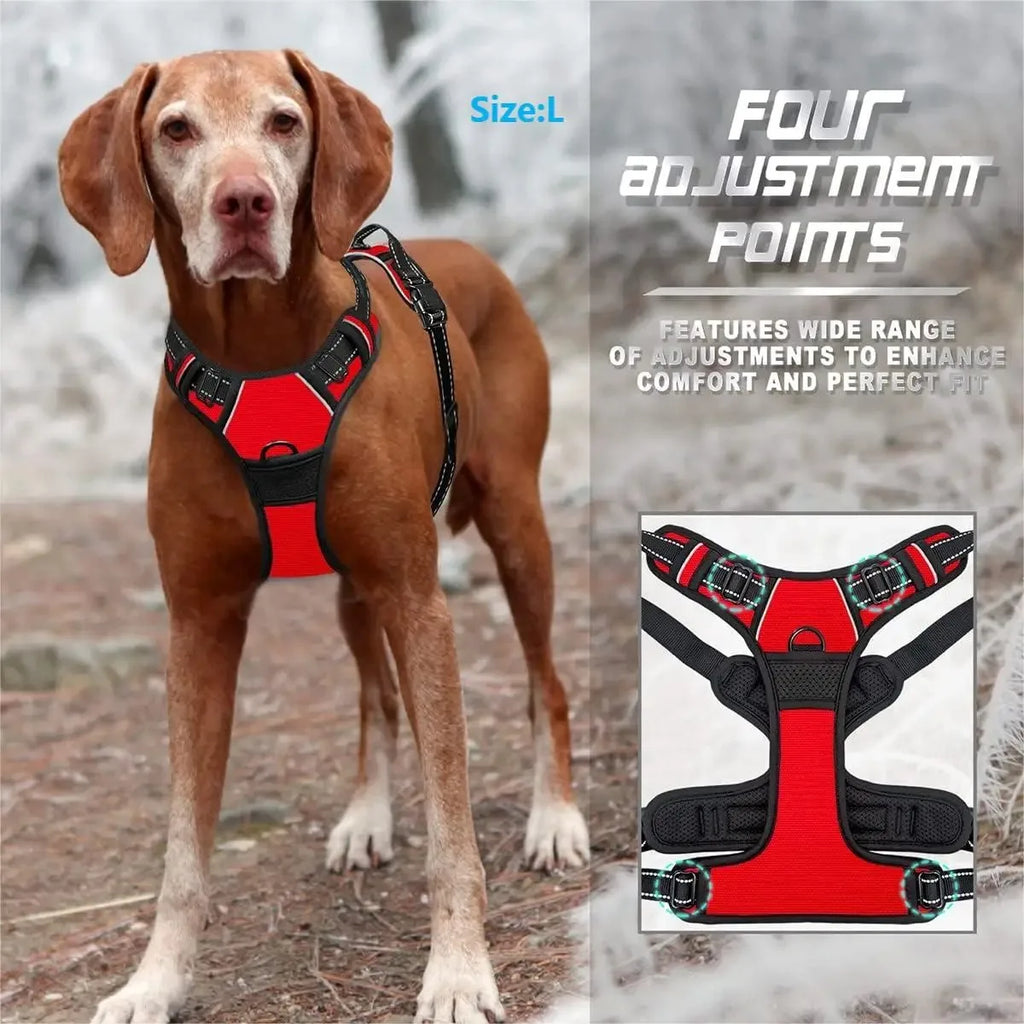 PawsLux Leather Collar, Harness and Leash Set for Dogs
