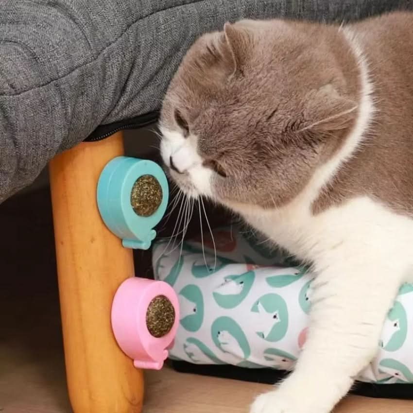 WhiskerNova Kattenkruid Speelgoed Voor Katten Tandverzorging En Speeltijd