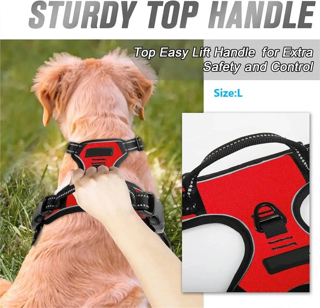 PawsLux Leather Collar, Harness and Leash Set for Dogs