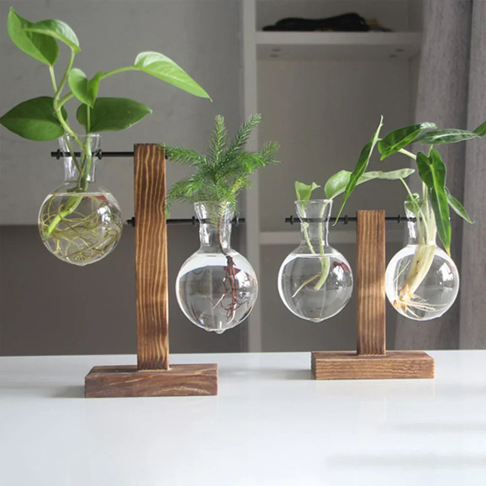 WoodenBloom Hydroponic Bulb Glass Planter On Wooden Stand For Home And Office Decor
