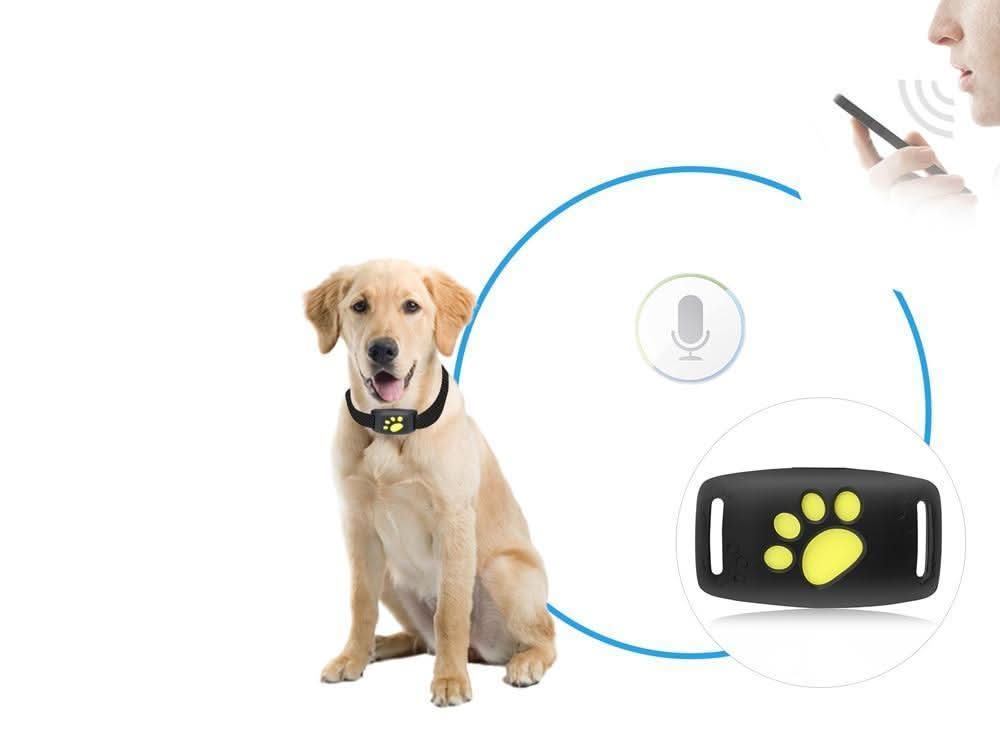 Coleira Meowloc GPS para Gato com Localização em Tempo Real e Segurança para Animais de Estimação