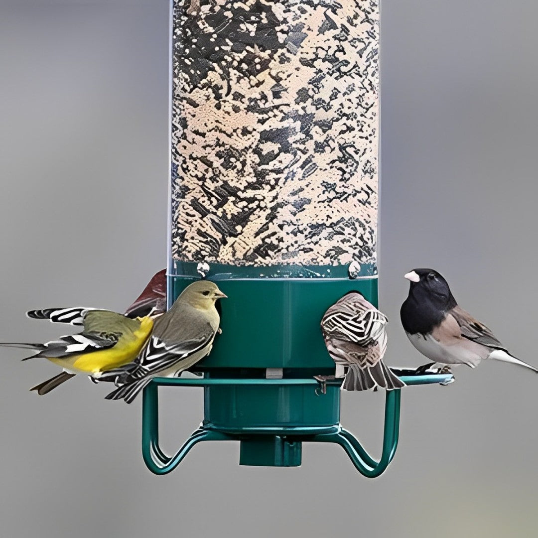 Feedsafe Squirrel-Resistant Bird Feeder For Easy Backyard Birdwatching
