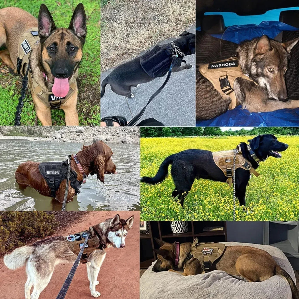 Arnés resistente para perros con hebilla de liberación rápida para chaleco de entrenamiento