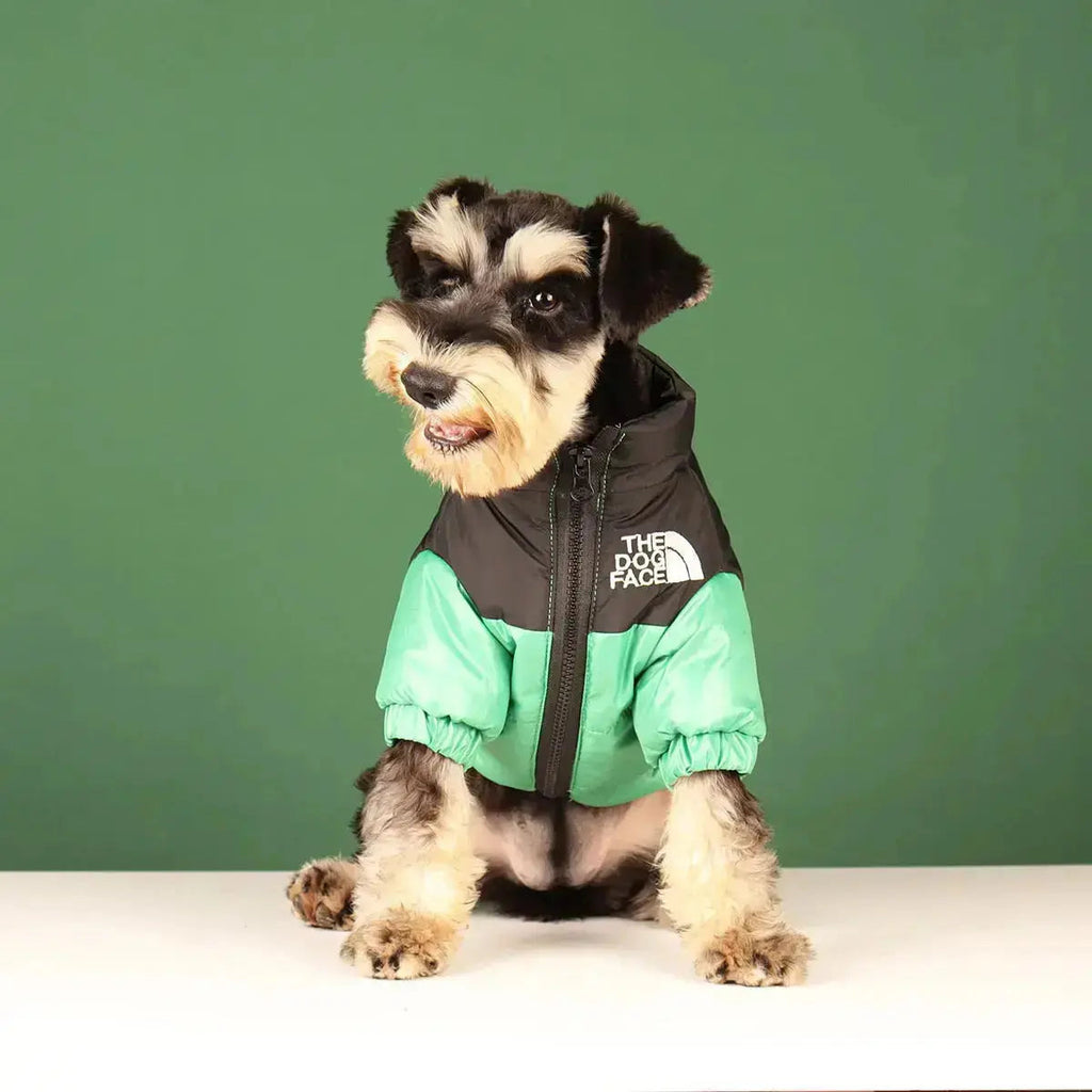 Type A Dog Face Jacket For Dogs In Black Green Pink Orange | Atiets