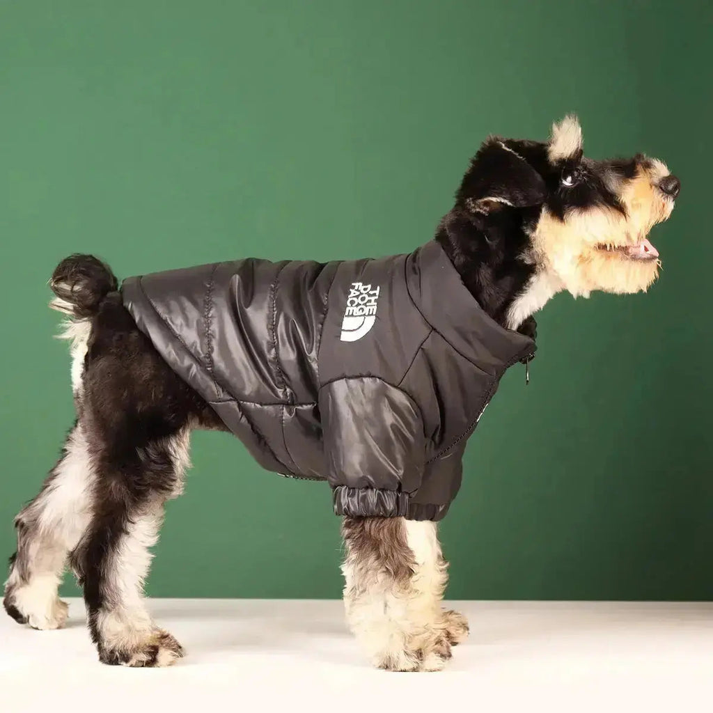 Type A Dog Face Jacket For Dogs In Black Green Pink Orange | Atiets