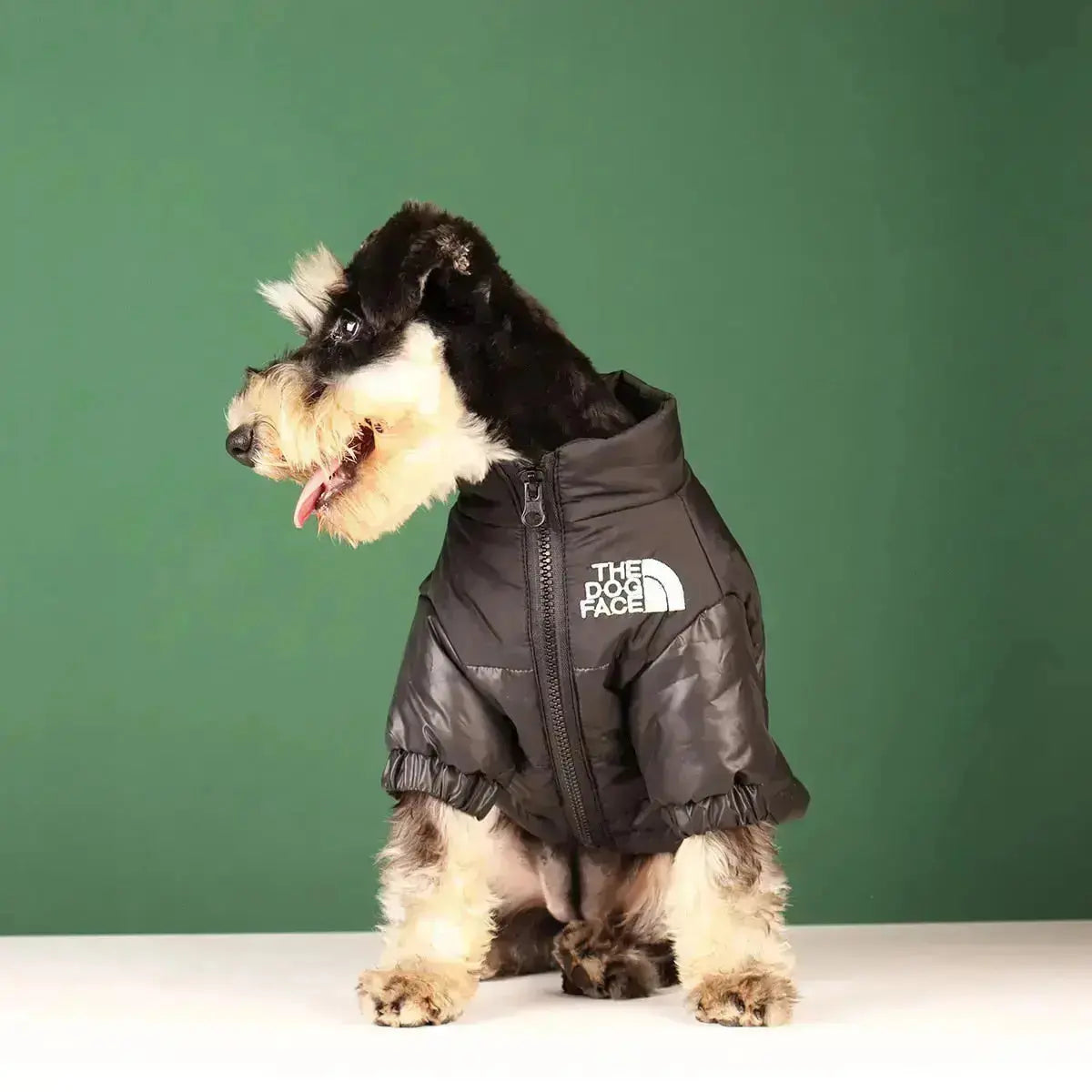 Type A Dog Face Jacket For Dogs In Black Green Pink Orange | Atiets