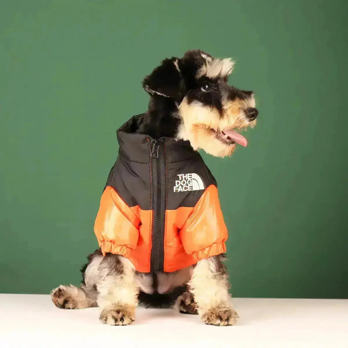 Type A Dog Face Jacket For Dogs In Black Green Pink Orange | Atiets