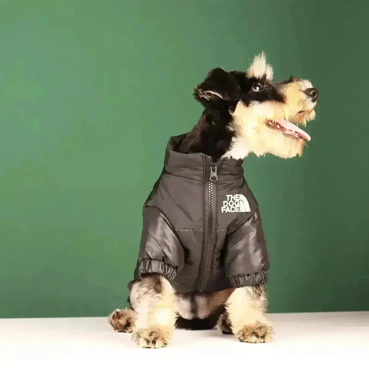 Type A Dog Face Jacket For Dogs In Black Green Pink Orange | Atiets