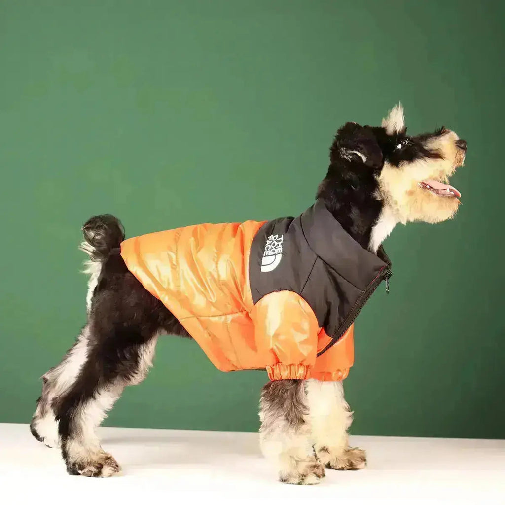 Type A Dog Face Jacket For Dogs In Black Green Pink Orange | Atiets