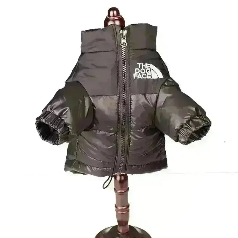 Type A Dog Face Jacket For Dogs In Black Green Pink Orange | Atiets