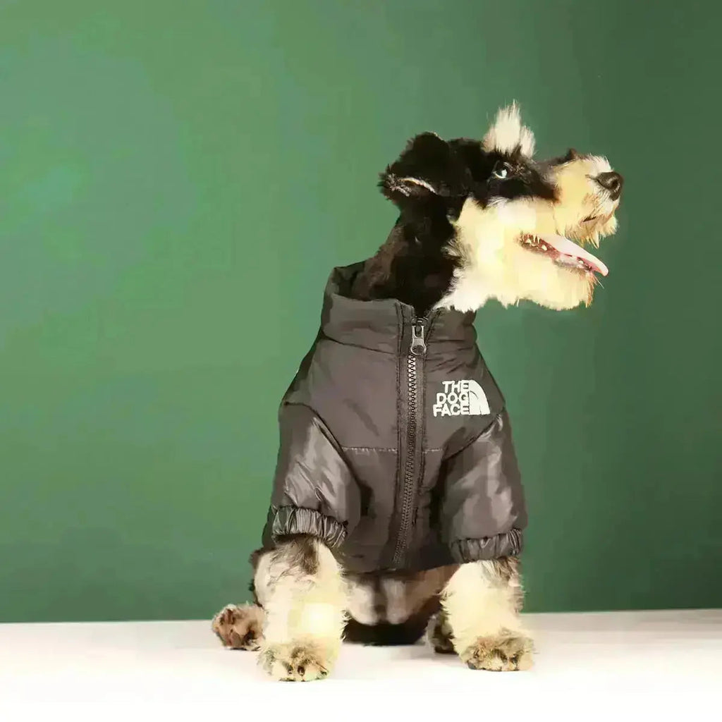 Type A Dog Face Jacket For Dogs In Black Green Pink Orange | Atiets