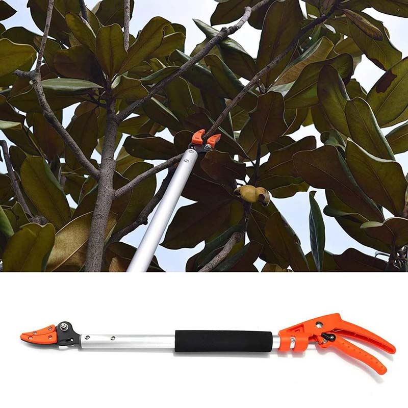 Treeline verstellbarer Teleskop-Heckenschneider für präzise Gartenpflege