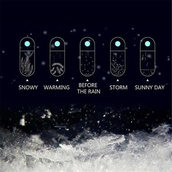 Storm Glass Weather Predicting Forecast Bottle Crystal Desktop Barometer with Wooden Base