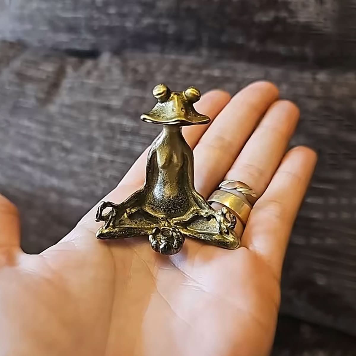 Suporte de Incenso ZenHaven Meditation Frog em Latão para Praticantes de Mindfulness