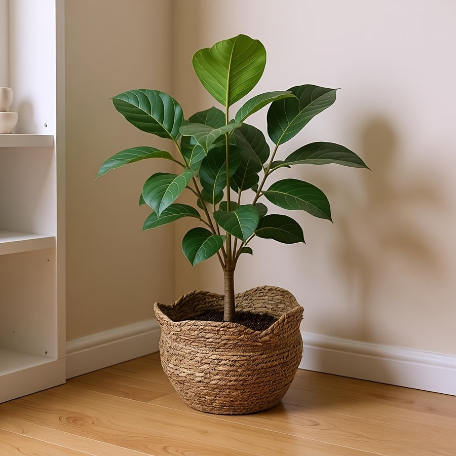 Rattankruka Handvävd Planterare för Naturlig Boho- och Skandinavisk Inredning