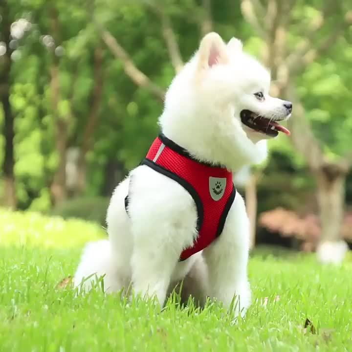Nightwalk Reflective Vest With Leash For Dogs And Cats