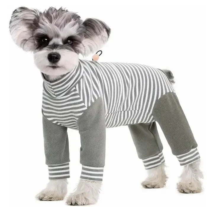 Anti - Licking • Dog Recovery Suit - Dog Recovery Suit